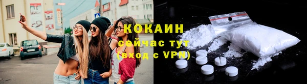 дмт Рославль