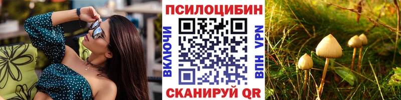Галлюциногенные грибы Psilocybe  KRAKEN tor  Калининск  цены наркотик 