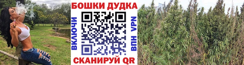 купить закладку  мега рабочий сайт  Марихуана конопля  Калининск 
